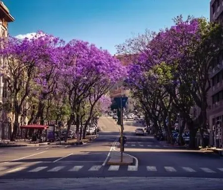 Casa Mascia Pinna Casa de Férias *
